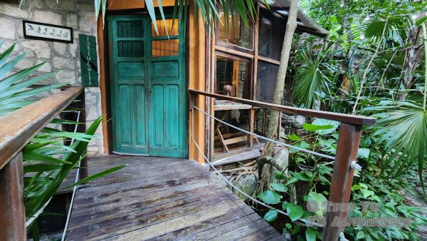 Mayan Culinary Adventure™ - Image 9