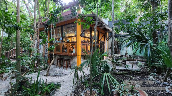 Mayan Culinary Adventure™ - Image 4