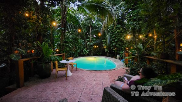 Mayan Culinary Adventure™ - Image 5