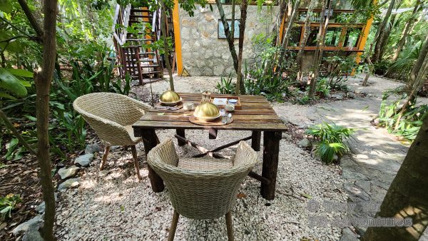 Mayan Culinary Adventure™ - Image 17